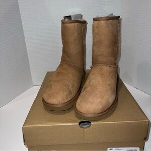 UGG Classic Short Boots in Chestnut